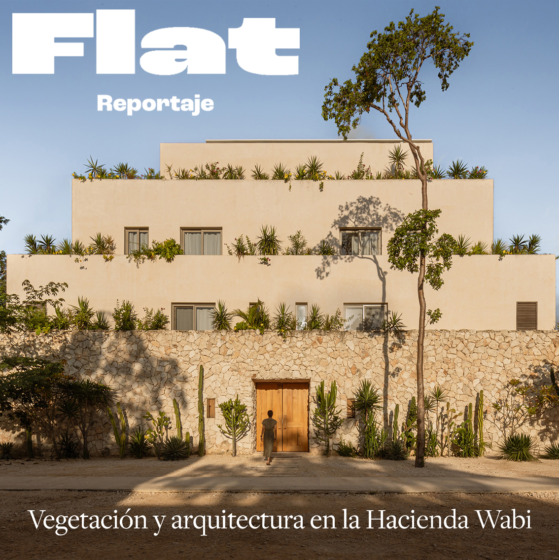 Vegetación y arquitectura en la Hacienda Wabi